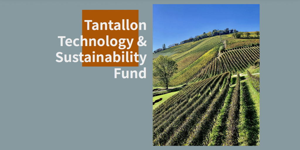Tantallon Tech & Sustainability Fund | Tantallon Capital
